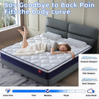 10/12 Plush Memory Foam Pocket Spring Hybrid Mattress In A Box With Certipur-US Certified Memory Foam
