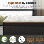 10 Full Plush Mattresses with Encased Coils & Gel Memory Foam,Fiberglass-Free,Motion Isolation-Edge Support,Mattress in a Box