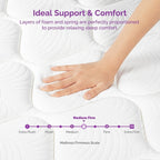 12 Inch Hybrid Mattress with Memory Foam and Spring Coils, Euro Top Mattress in a Box