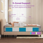 12 Inch Hybrid Mattress with Memory Foam and Spring Coils, Euro Top Mattress in a Box
