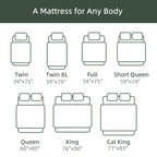 12-inch Memory Foam Mattress Hybrid Bed Mattress in a Box