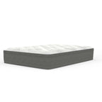 12 Hybrid Euro Top Plush Convoluted Foam Mattress