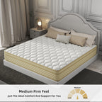 14 Euro Top Medium Memory Foam Hybrid Mattress in a Box